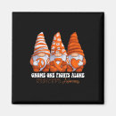 Search for gnomies magnets Awareness
