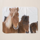 Search for icelandic horses blankets Martin zwick