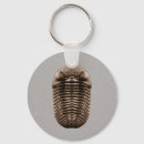Search for fossil key rings Paleontology