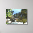 Search for racoon canvas prints Animal
