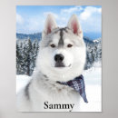 Search for pet name posters Dog
