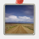 Search for crossing christmas tree decorations Nature