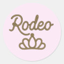 Search for pink tiara stickers Birthday party