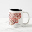 Search for sides of brain mugs People