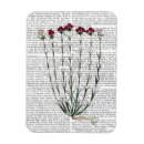 Search for italian magnets Animals