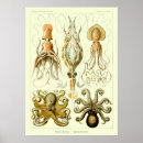 Search for vintage nautical posters Sea