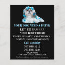 Search for dog grooming flyers Promotional