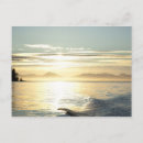 Search for savanah postcards Usa