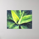 Search for agave art Leaves