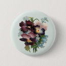 Search for the pansy badges Illustration