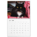 Search for white cat calendars Kitty