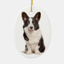 Search for corgi christmas decor Animal