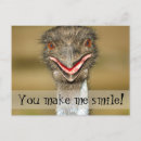 Search for emu postcards Funny