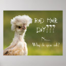 Search for funny chicken art Farm animal