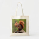 Search for squirrels bags Animals