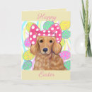 Search for golden retriever easter cards Goldens