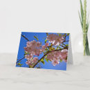 Search for cheery cards Flowers
