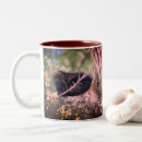 Search for porcupine mugs Wildlife