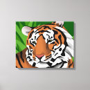 Search for tiger woods posters Feline