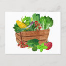 Search for vegetables postcards Gardener