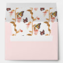 Search for butterfly envelopes Modern
