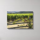 Search for wine vineyard canvas prints Winery