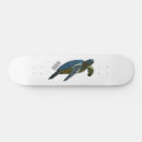 Search for turtle skateboards Australia
