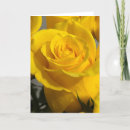 Search for rose blank cards Flower