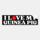 Search for pig stuff bumper stickers Guinea pigs