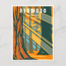 Search for redwood national park postcards Retro