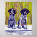 Search for german shorthaired pointer posters Pet