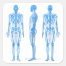 Search for human body part stickers Illustration