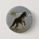 Search for sea dog badges Bob and pam langrish