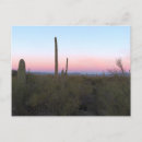 Search for pink sunrise postcards Photography
