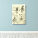 Search for vintage hand anatomy art Doctor