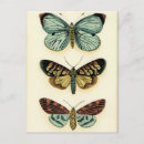 Search for collectable postcards Animals