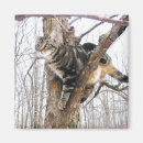 Search for tiger face magnets Black