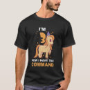 Search for three yr Years