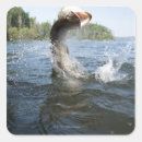 Search for vessel stickers Outdoors