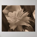 Search for trellis art Flower