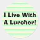 Search for whippet dog stickers Greyhound