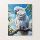 Search for cockatoo bird puzzles Animal