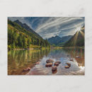 Search for parkland postcards Woodland