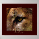 Search for cougar art Wildlife