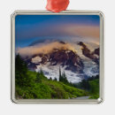 Search for washington christmas tree decorations Alpine