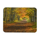 Search for upper peninsula magnets Usa