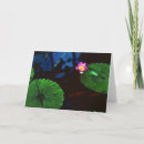 Search for koi cards Garden