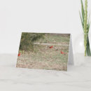 Search for ground cards Nature