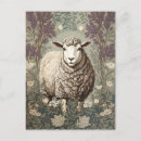 Search for lavender background postcards For her