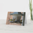 Search for cheerfulness cards Photography